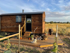 Bain View Glamping